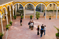 Imagen de C/ Laraña nº 3 y 7, Sevilla