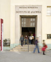 Imagen de Av. Dr. Fedriani s/n, Sevilla